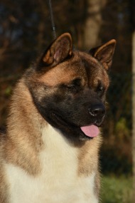 HMPGW John Wick of Danger Zone