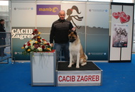 CACIB Zagreb International Dog Show