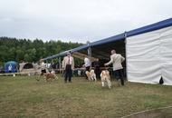 14-15-16.05.2016 Szilvásvárad-Bélapátfalva 3xCACIB International Dog Show