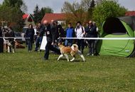 International Dog Show - Debrecen CACIB