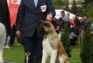 International Dog Show - Debrecen CACIB