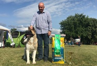 CAC Dog Show Herend (H)
