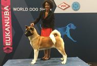World Dog Show Leipzig (D)