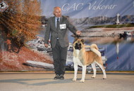 CAC Vukovar (HR)