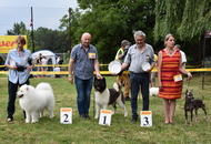 CAC Dog Show Herend (H) 