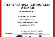 IHA Wels 2023 - Christmas Winner