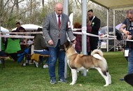 -24. 03. 2024 - PÉCS-SZENTLŐRINC