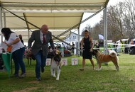 -24. 03. 2024 - PÉCS-SZENTLŐRINC
