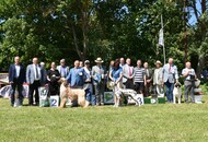 CAC Dog Show Herend (H)