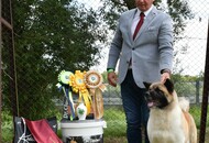 CAC Dog Show Herend (H)