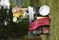 CAC Dog Show Herend (H)