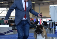 CACIB Celje I. & CAC Celje